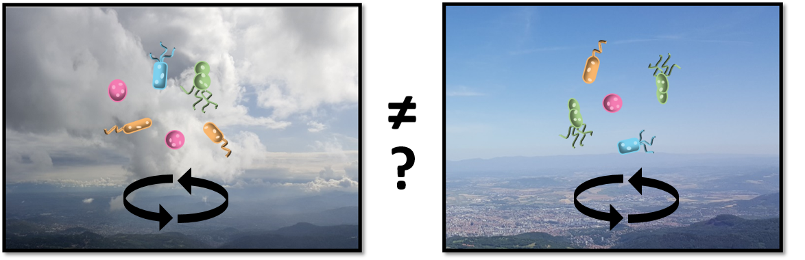 Nuages
